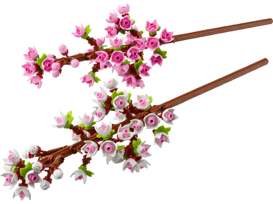Cherry Blossoms