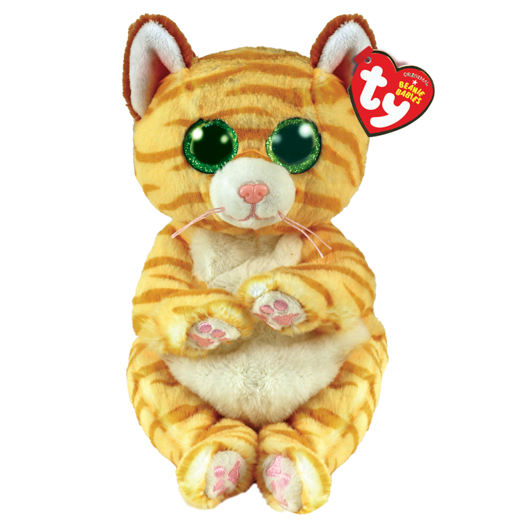 MANGO - cat gold belly reg