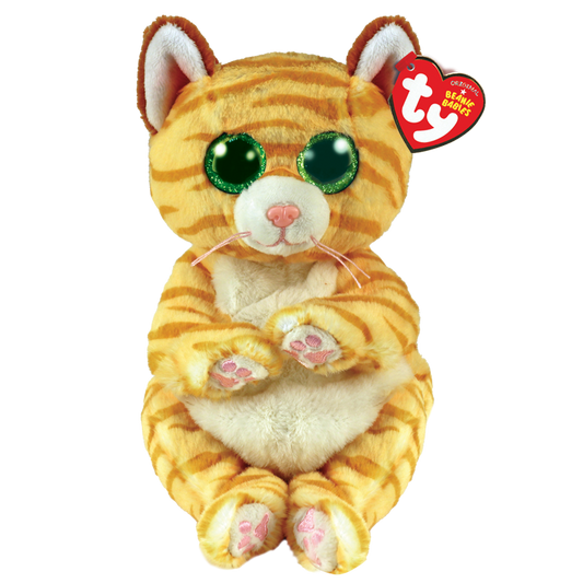 MANGO - cat gold belly reg
