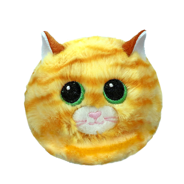 PURRY - cat