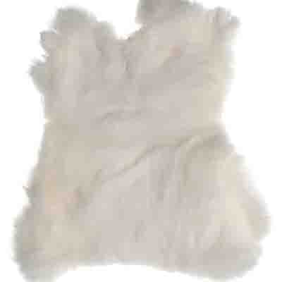 Rabbit Fur Skin - White Apx 15X15In